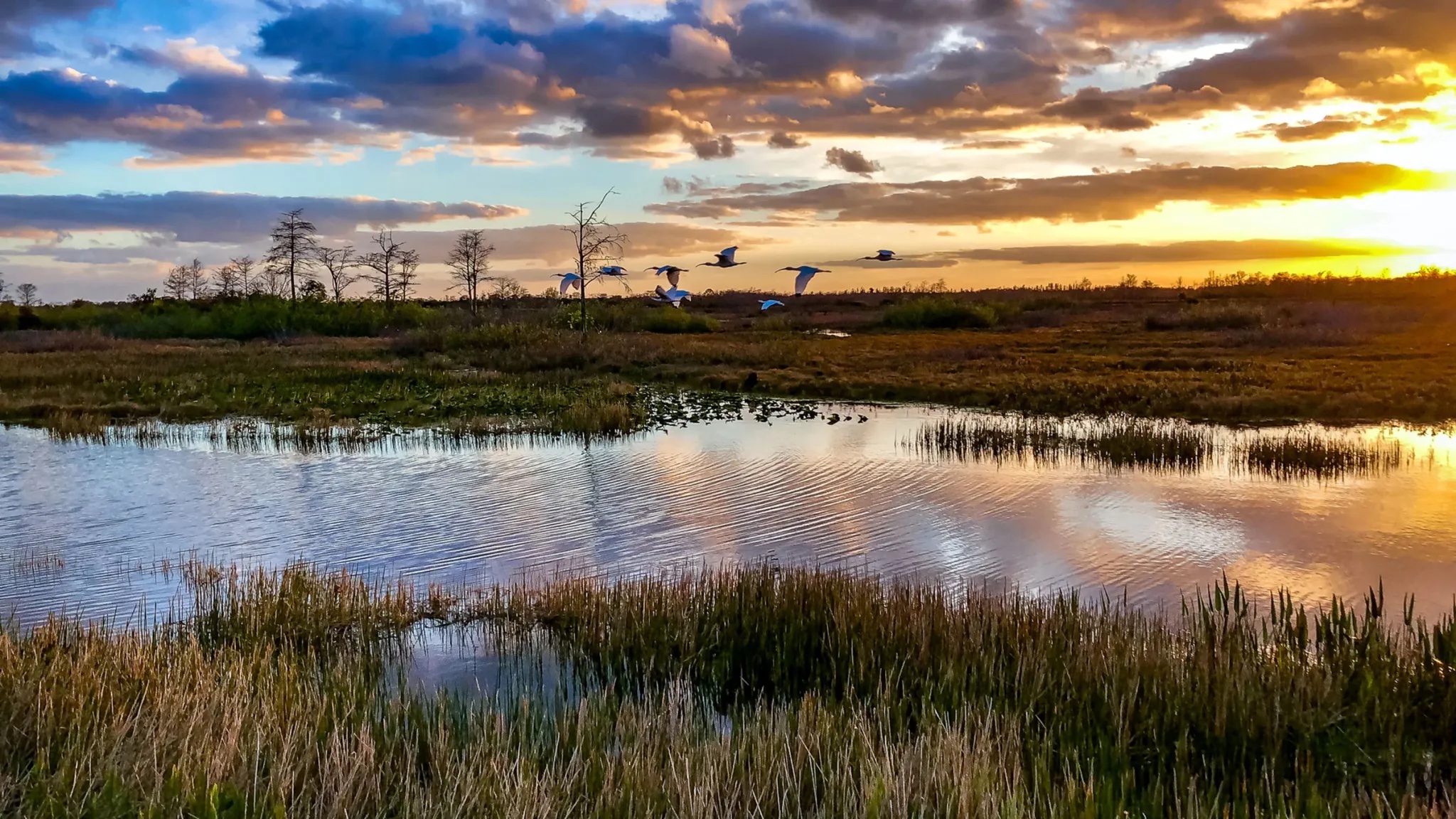 Everglades National Park at sunrise