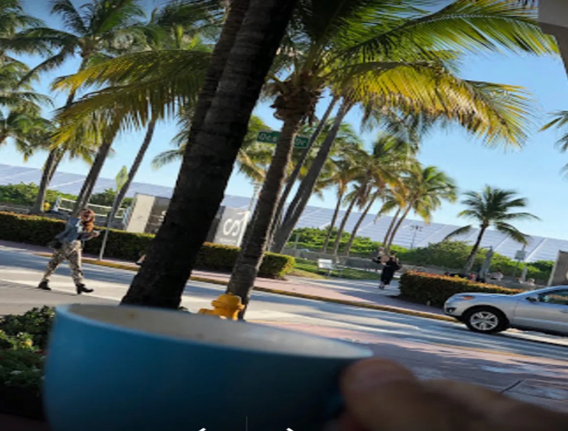 The Best Bakeries in Miami Beach